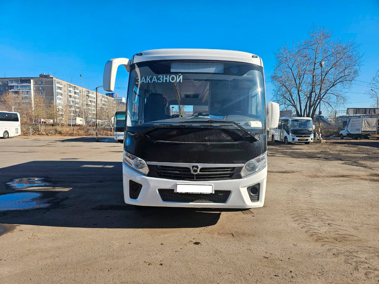 ПАЗ Вектор Next аренда