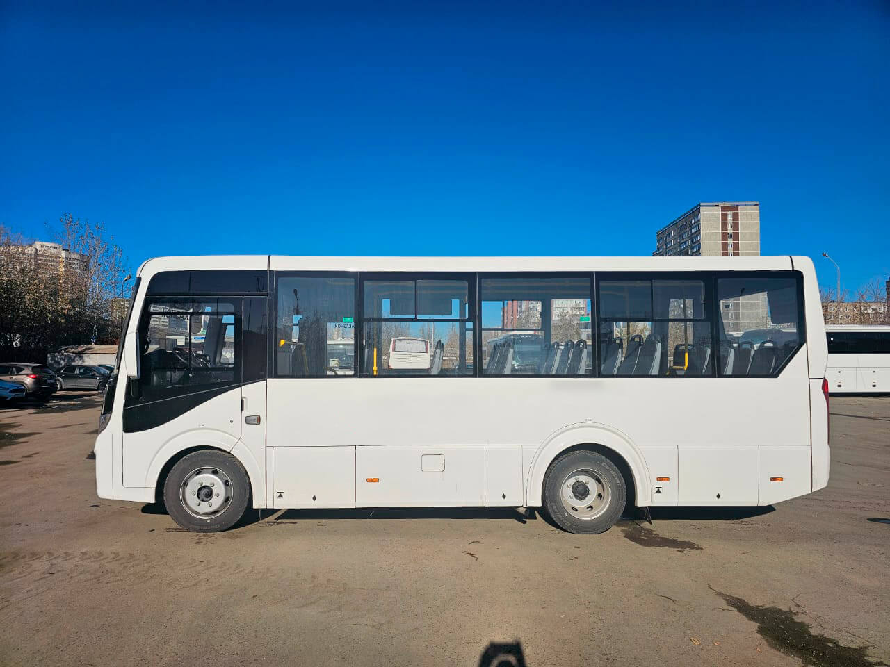 ПАЗ Вектор Next аренда